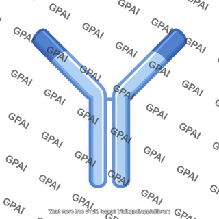 Antibody icon