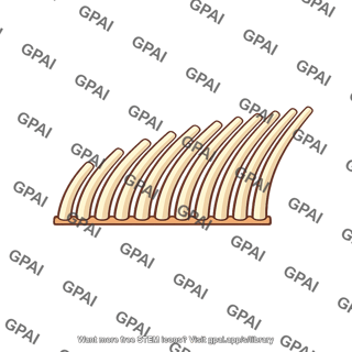 Stereocilia bent