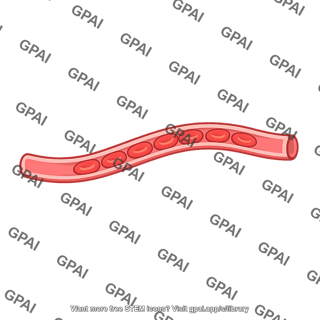 Peripheral capillary