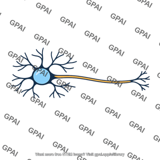 M retinal ganglion cell