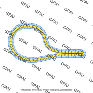 Extending membrane bilayer stage 2