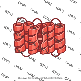 Alpha2 adrenergic receptor