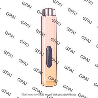 Outer hair cell