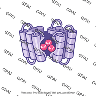 Sodium carrier protein