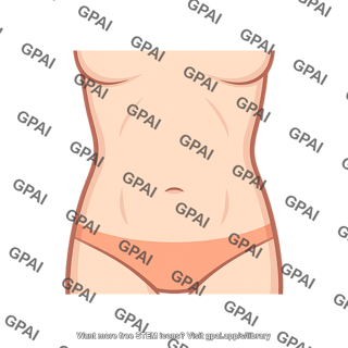 Human abdomen