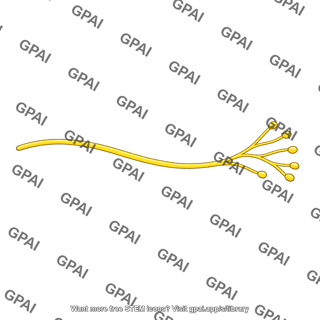 Sympathetic fiber