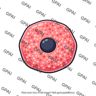 Oxyphil cell