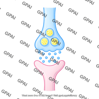 Synaptic cleft