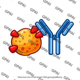 Allergen antibody complex