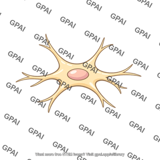 Interstitial cell