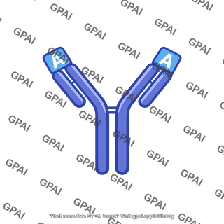 Anti a agglutinin