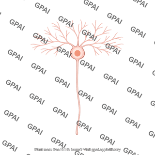 Retinal ganglion cell type p