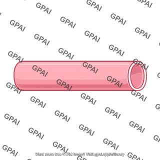 Vascular tube