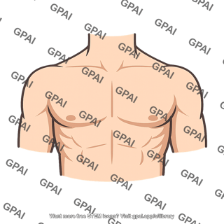 Chest region