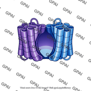 Glucose transporter