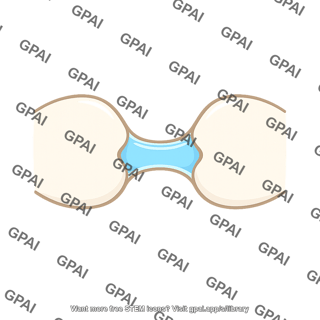 Joint synovial space