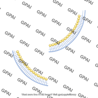 Quarter circle membrane phospholipid bilayer 2