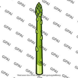 Asparagus