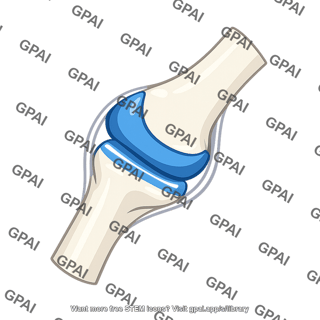 Synovial joint