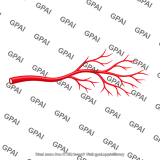 Retinal artery