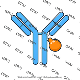 Enzyme linked antibody