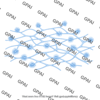 Proteoglycan reticulum