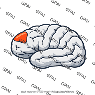 Frontopolar cortex
