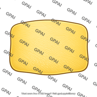 Yellow plaque