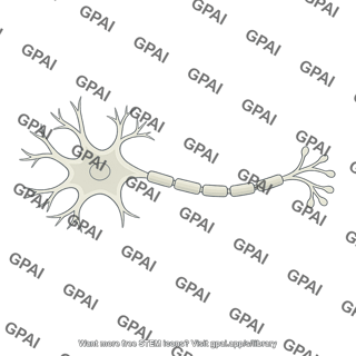 Neuron schematic