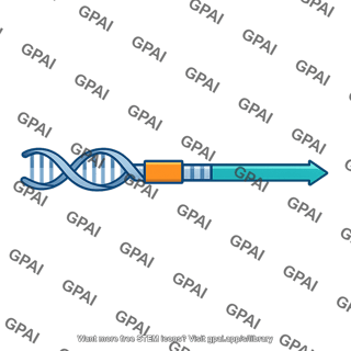 Initiator sequence