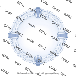 Nuclear membrane porous filled