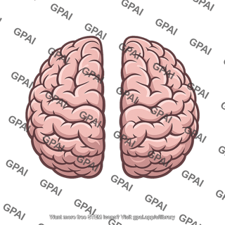 Cerebral hemisphere disconnected