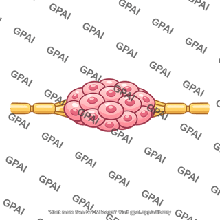 Ganglion