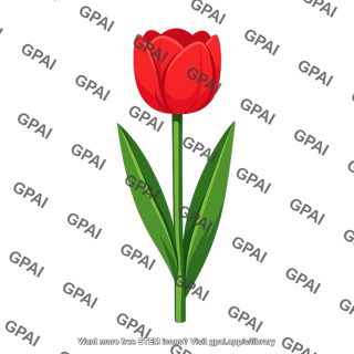 Tulip