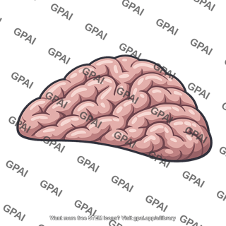 Human brain hemisphere
