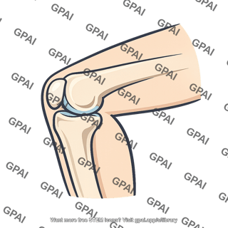 Knee side