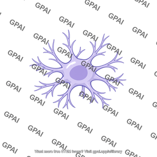 Glia