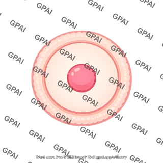 Ovum