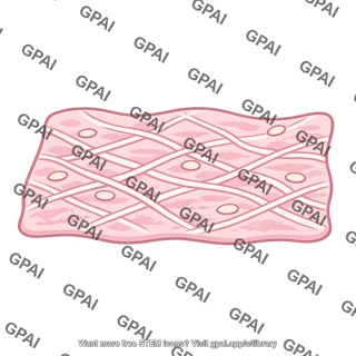 Connective tissue