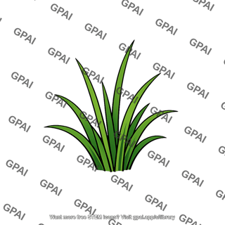 Grass