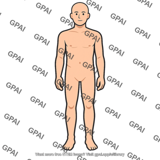 Whole human