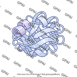 Globular protein ribbon