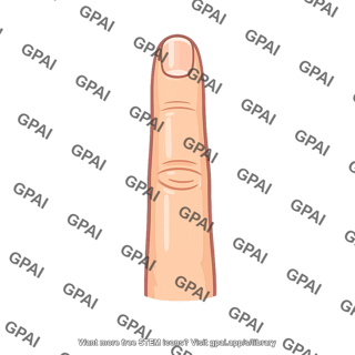 Finger