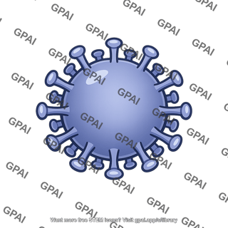 Virus