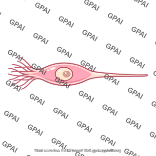 Sensory receptor cell