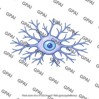 Amacrine cell