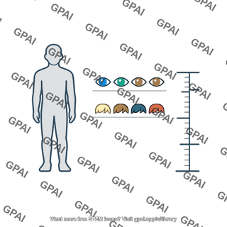 Phenotype chart