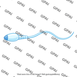 Male sperm cell