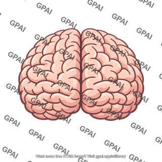 Cerebrum