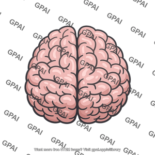Human brain